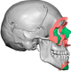 Illustration for article titled Behold the Most Extensive Face Transplant in Medical History